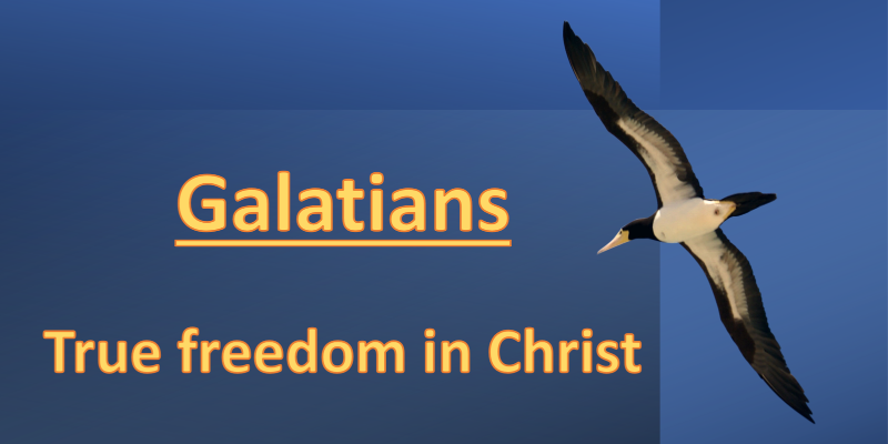 Galatians series main  photo