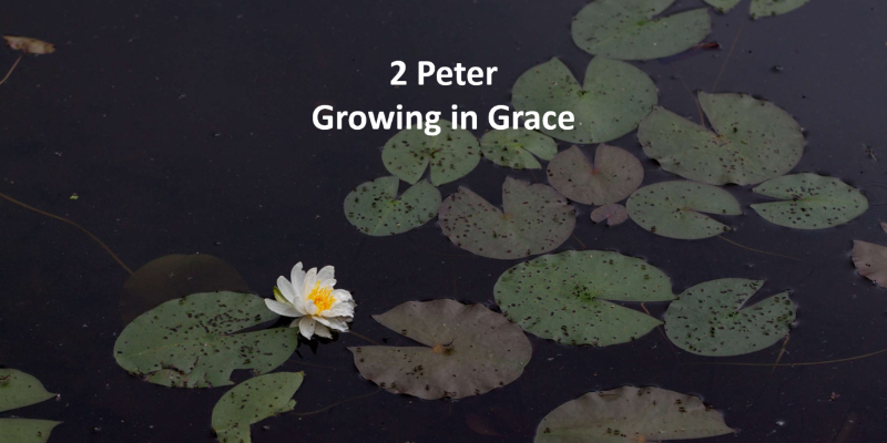 Growing in Grace
