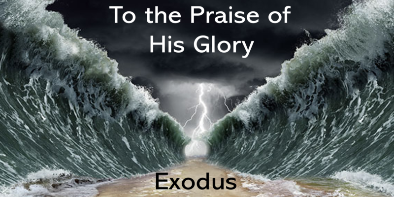 Exodus series